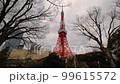 Tokyo Tower Shiba Park Tokyo Tower Shiba Park 99615572