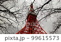 Tokyo Tower Winter Tokyo Tower Winter 99615573