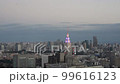 ビル建物、都市風景素材、ビジネス、東京　新宿　都庁からの眺望、超高層ビル群、夕暮れ 99616123