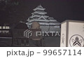《Nagano Prefecture》Matsumoto Castle light up 《Matsumoto City》LUT uncorrected 99657114