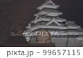 《Nagano Prefecture》Matsumoto Castle light up 《Matsumoto City》LUT uncorrected 99657115