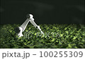 Robotic arms looking after fresh, young, green plants in a vast, modern, foggy greenhouse. Soft, cold spotlights illuminate the leaves revealing their natural, vibrant, healthy color. Black background 100255309