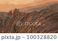 夕日の浜辺14 100328820