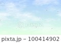 櫻花花瓣飄落 100414902