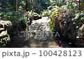 Sleeping in the Spring Stream 100428123