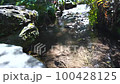 Sleeping in the Spring Stream 100428125