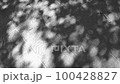 Monochrome of sunlight filtering through the trees on the stone pavement 100428827
