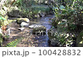 Sleeping in the Spring Stream 100428832