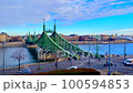 Green Bridge and Danube River in Budapest, Hungary 100594853
