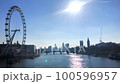 Stunning views of the London Eye and the River Thames 100596957