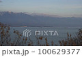 朝の琵琶湖 100629377