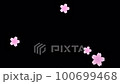 Sakurafubuki 2-4（全花大+正面） 100699468