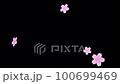 Sakurafubuki 2-3（全花大號） 100699469