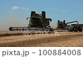 Combine harvester gathers the wheat crop. Wheat harvesting shears. Combines in the field. Steadicam 100884008