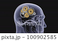 Human head with gears. Business technology concept. 3d animation 100902585