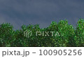 Shaking trees 100905256