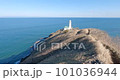 灯台 101036944