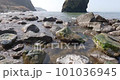 磯波 101036945