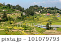 A beautiful high angle panning view of a valley filled with houses and lush green rice paddies. 101079793