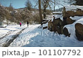 take a family walk in the snow just fallen along stacks of firewood in the mountain path 101107792