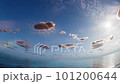 空的時間流逝 101200644