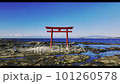 hayama sea shrine torii mt fuji drone 4K 101260578