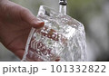 コップに水 101332822