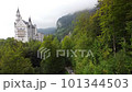 Famous Neuschwanstein Castle in Bavaria Germany - aerial photography 101344503