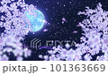月亮、蝴蝶和櫻花的暴風雪的夜晚循環 月亮、蝴蝶和櫻花的暴風雪的夜晚循環 101363669