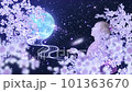 仰望月亮的少女和櫻花夜循環 仰望月亮的少女和櫻花夜循環 101363670