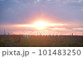 Time lapse of sunset with evening glow in the field 101483250