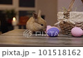 Bunny sitting on the table, sniffing Easter eggs and hiding behind the basket 101518162