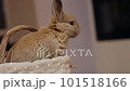 Cute beige rabbit peeking out of the basket. Close up. 101518166