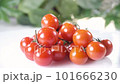 Small red cherry tomatoes. 101666230