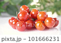 Small red cherry tomatoes. 101666231
