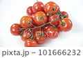Small red cherry tomatoes. 101666232