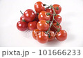 Small red cherry tomatoes. 101666233