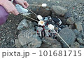People fries marshmallows on coals outdoor. Marshmallow on skewers is fried at the stake. A marshmallow that has been toasted over an open flame. Friends toasting a marshmallow 101681715