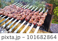 Lamb shashlik spies grilled in the garden. High quality 4k footage 101682864