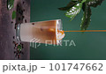 Pouring caramel into iced coffee 101747662