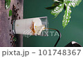 Delicious iced coffee in a glass on green background 101748367
