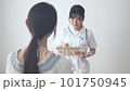 nurse interviewing a woman 101750945