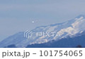 雪の残る早春の北海道で渡ってきた白鳥の2羽が遠くの山を背景に飛ぶ 101754065
