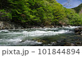龍峽與新綠（栃木縣日光市） 101844894