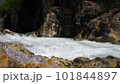 龍峽激流（栃木縣日光市） 101844897