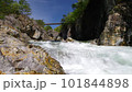 龍峽與新綠（栃木縣日光市） 101844898