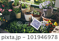 Solar battery in high garden bed on balcony 101946978