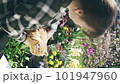 Smiling woman gardening on her balcony with cat 101947960