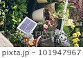 Solar battery on balcony among flowers and green plants 101947967