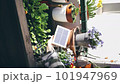Solar battery on balcony among flowers and green plants 101947969